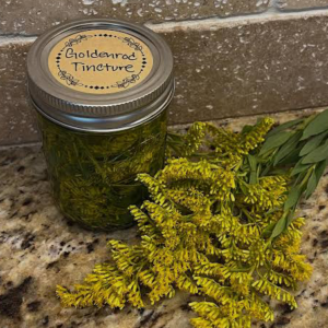 goldenrod tincture