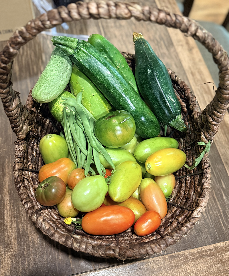 summer bounty