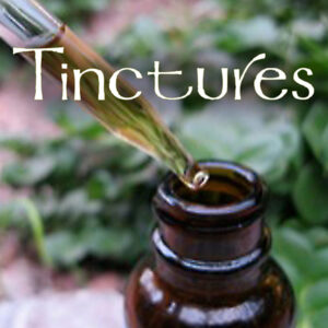 mullein tinctures