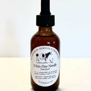 white pine needle tincture bottle
